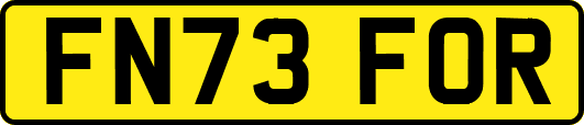 FN73FOR