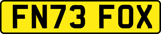 FN73FOX