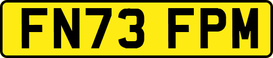 FN73FPM