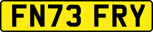 FN73FRY