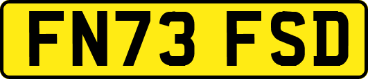 FN73FSD
