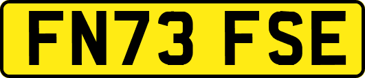 FN73FSE