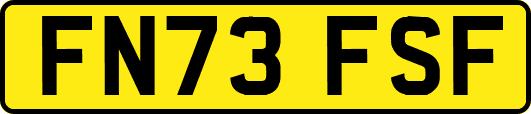 FN73FSF