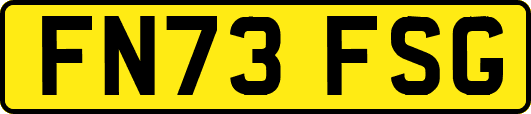 FN73FSG