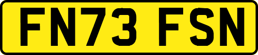 FN73FSN