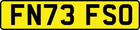 FN73FSO