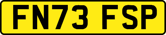 FN73FSP