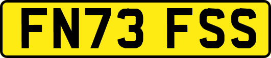FN73FSS