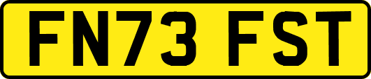 FN73FST