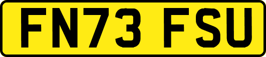 FN73FSU