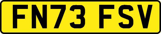 FN73FSV