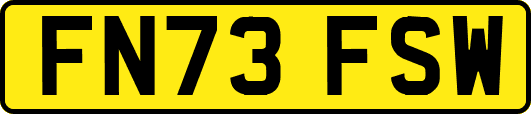 FN73FSW