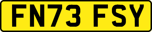 FN73FSY