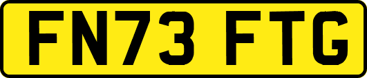 FN73FTG