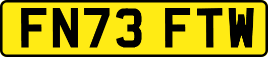 FN73FTW