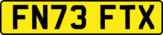 FN73FTX