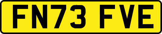 FN73FVE
