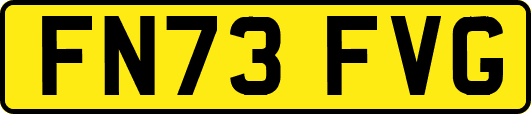 FN73FVG