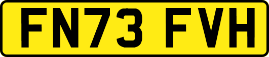 FN73FVH