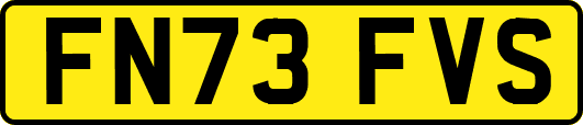 FN73FVS