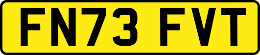 FN73FVT