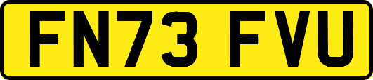 FN73FVU