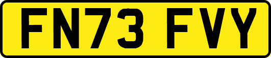 FN73FVY