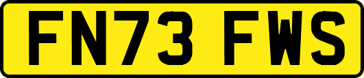 FN73FWS