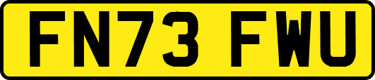 FN73FWU