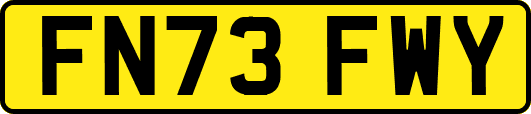 FN73FWY