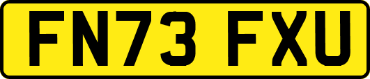 FN73FXU