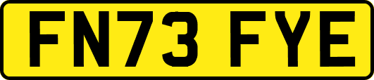 FN73FYE