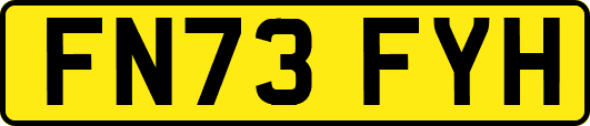 FN73FYH