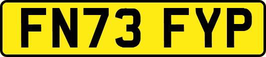 FN73FYP