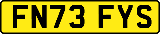 FN73FYS