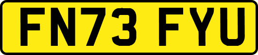 FN73FYU