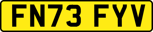 FN73FYV