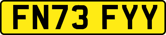 FN73FYY