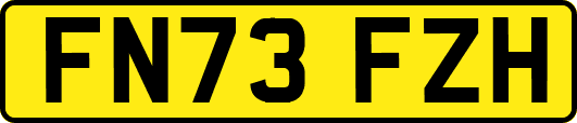 FN73FZH