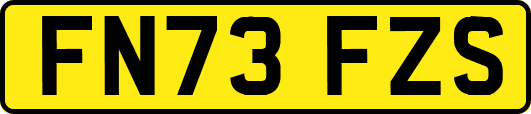 FN73FZS