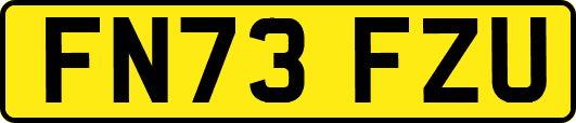 FN73FZU