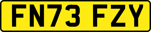 FN73FZY