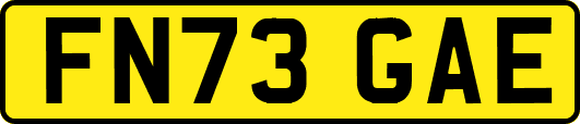 FN73GAE