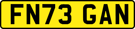 FN73GAN