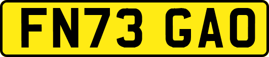 FN73GAO