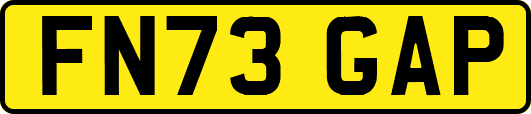 FN73GAP