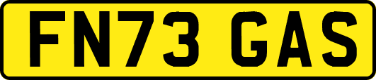 FN73GAS