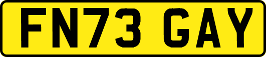 FN73GAY