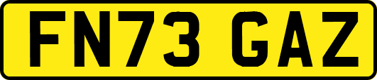 FN73GAZ