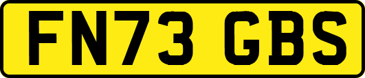 FN73GBS